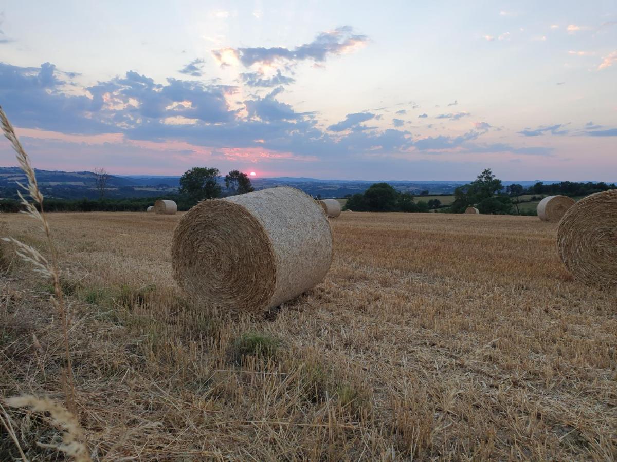 Rouet-Nature - Chbre Nature Bed and Breakfast Trébas Εξωτερικό φωτογραφία